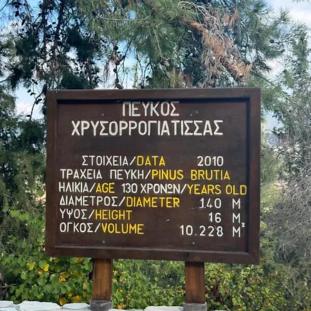 Beautiful In Latchi In The Location!