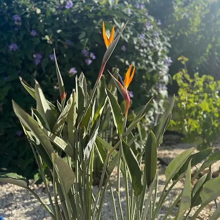 Beautiful In Latchi In The Location! וילה *